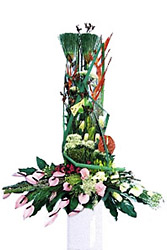 Croatia- Mixed Cut Flowers