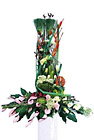 Croatia- Mixed Cut Flowers