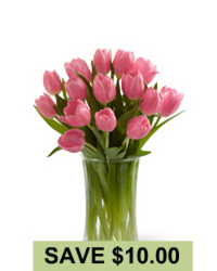 Pink Tulips<br><b>Courier Delivered</b>