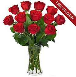 12 <b>Long Stemmed Red Roses<br>Free Next Day Delivery from Flowers All Over.com 