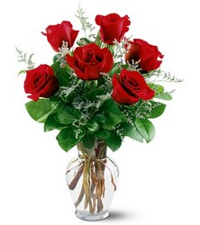Valentines Day Roses<br>Super Six<b> RED</b>
