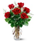Valentines Day Roses<br>Super Six<b> RED</b>