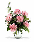 Sweet Pink