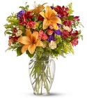 /images/telwhite03/TF-WEB316lg.jpg Classic Celebration