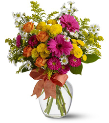 Heatwave<b><br>FREE DELIVERY !! from Flowers All Over.com 