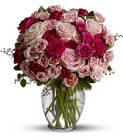 /images/telwhite03/TF-WEB517lg.jpg Spray Roses are Pink