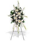 Purity Remembered