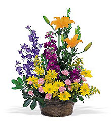 The Splendor of Spring