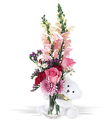 Bear Hug Bouquet<b> from Flowers All Over.com 