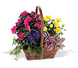 Nature's Garden Basket