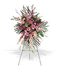 Softer Touch Pink Standing Spray