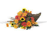 Captivating Cornucopia
