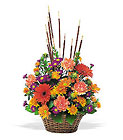 /images/telwhite03/tf76-2lg.jpg Fall Splendor