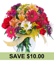 Bright, Bold and Beautiful