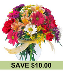 Bright, Bold and Beautiful