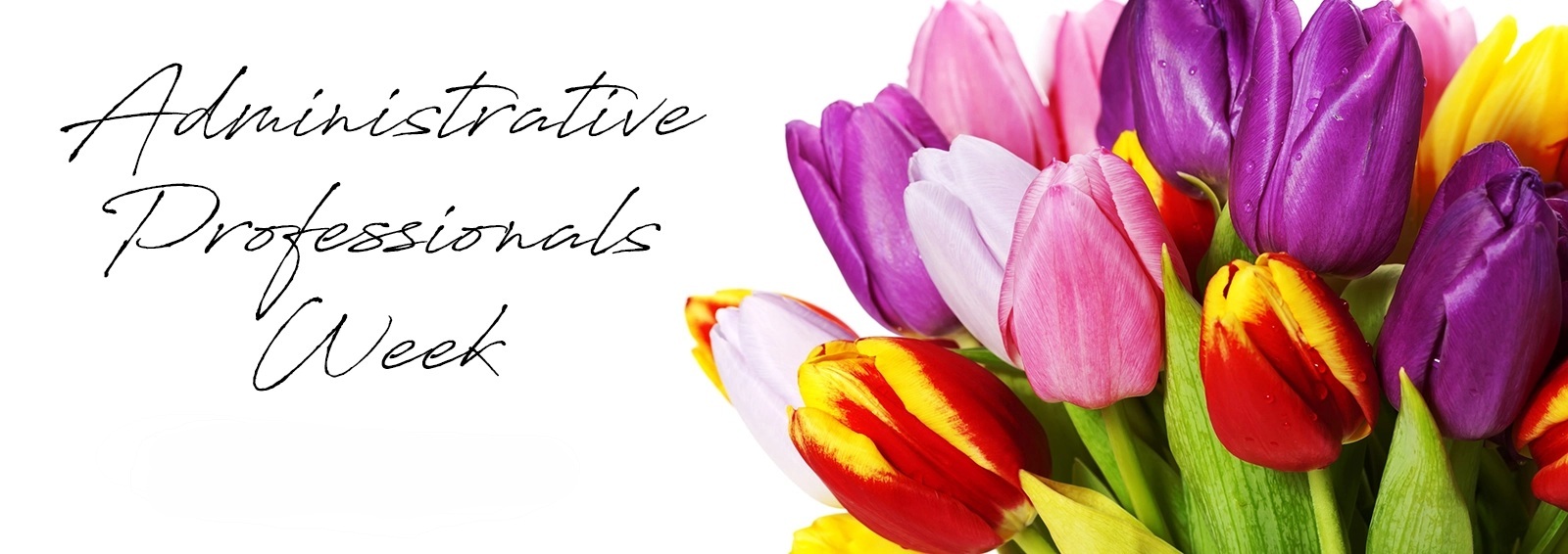 FTD FLOWERS 800FLOWERS & Teleflora 
Flowers & 
Gifts