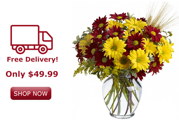 Flowers for all life's special occasions from FlowersAllOver.com