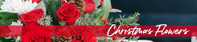 800flowers & 
Teleflora Flowers & Gifts starting as low as 
$19.99