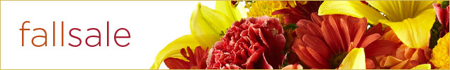 800flowers & 
Teleflora Flowers & Gifts starting as low as 
$19.99