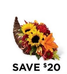 Thanksgiving Cornucopia<br>Private Email Sale<b> from Flowers All Over.com 