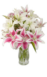 Eternal Beauty from Flowers All Over.com 