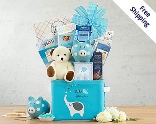 Oh Baby! BLUE Gift Basket<br><b>FREE GROUND SHIPPING! from Flowers All Over.com 
