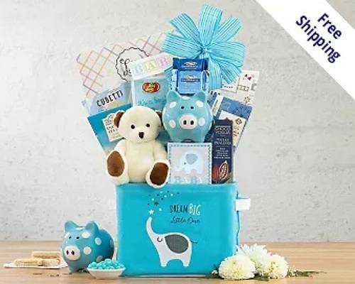 Oh Baby! BLUE Gift Basket<br><b>FREE GROUND SHIPPING! from Flowers All Over.com 