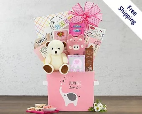 Oh Baby - PINK Gift Basket<br><b>FREE GROUND SHIPPING! from Flowers All Over.com 