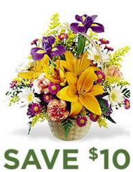 Natural Wonders Bouquet<b> from Flowers All Over.com