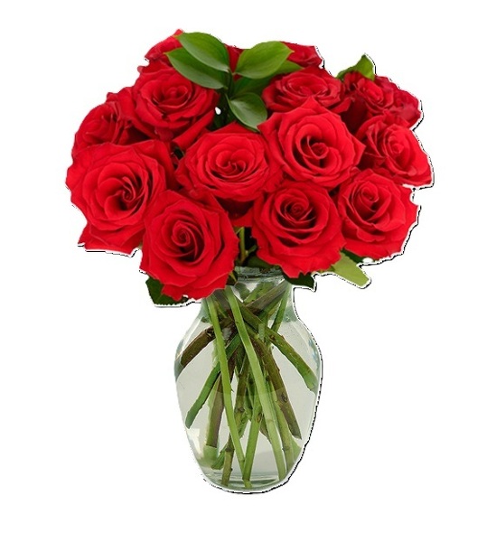 12 <b>Long Stemmed Red Roses<br>Free Next Day Delivery from Flowers All Over.com 