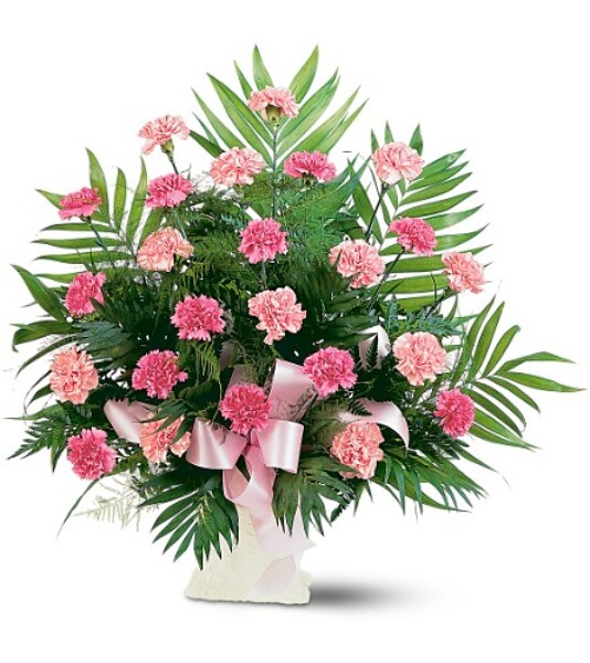 Pink Carnation Sympathy Basket<br><b>FREE DELIVERY from Flowers All Over.com 