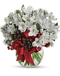 Season's 1st Snowfall<br><b>FREE DELIVERY from Flowers All Over.com 