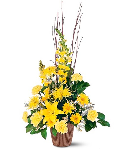 Sunshine's Warmth<br><b>FREE DELIVERY from Flowers All Over.com 