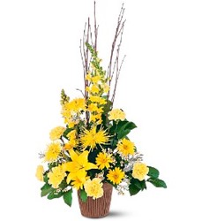 Sunshine's Warmth<br><b>FREE DELIVERY from Flowers All Over.com
