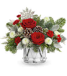 Teleflora's Little Drummer Joy <b> from Flowers All Over.com 