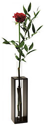 Just One... from Flowers All Over.com 