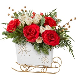 Up, Up and Away!!<br><b>FREE DELIVERY from Flowers All Over.com 