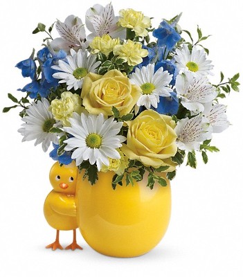 Baby Boy<br><b>FREE DELIVERY from Flowers All Over.com 