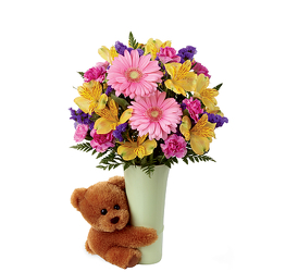 Cuddles The Bear<br><b>FREE DELIVERY from Flowers All Over.com 