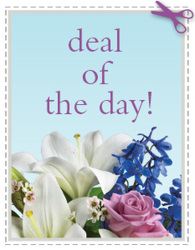 Today's Daily Deal<br><b>Save $10 or More!! from Flowers All Over.com