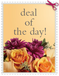 Today's Daily Deal<br><b>Save $20 or More!! from Flowers All Over.com
