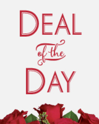 Today's Daily Deal<br><b>Save $20 or More!! from Flowers All Over.com