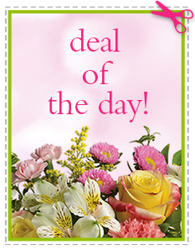 Today's Daily Deal<br><b>Save $10 or More!! from Flowers All Over.com 