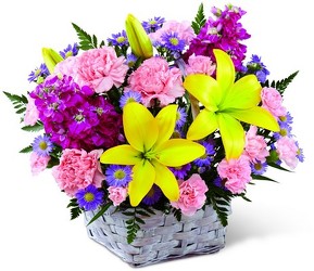 Spring Sonata Basket<br><b>FREE DELIVERY from Flowers All Over.com 