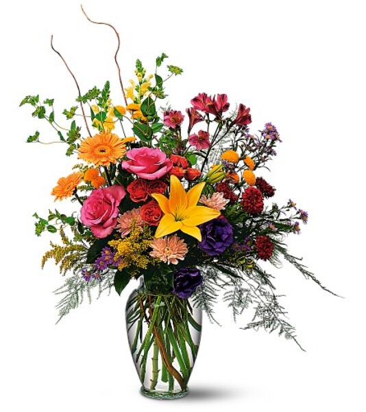 You Really Count<br><b>FREE DELIVERY from Flowers All Over.com 