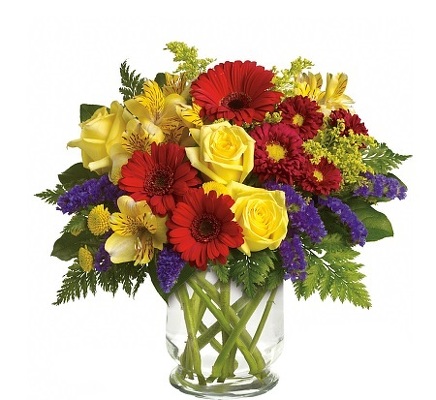 The Eye Opener<br><b>FREE DELIVERY from Flowers All Over.com 