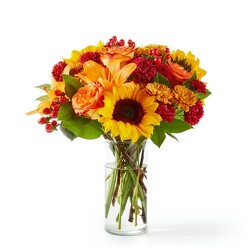 Warmth of Autumn<br><b>FREE DELIVERY from Flowers All Over.com 