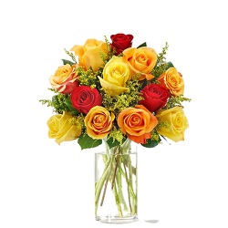 Fall Rose Bouquet<br><b>Free Next Day Delivery from Flowers All Over.com 