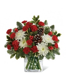 Holiday Dreams<br><b>FREE DELIVERY from Flowers All Over.com 