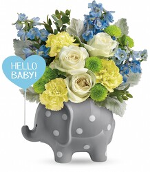 Welcome To The World-Boy<br><b>FREE DELIVERY from Flowers All Over.com 